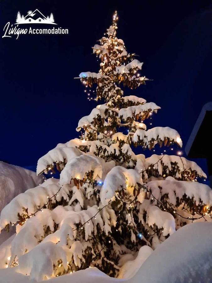Alpen Royal By Livigno Accomodation Bagian luar foto